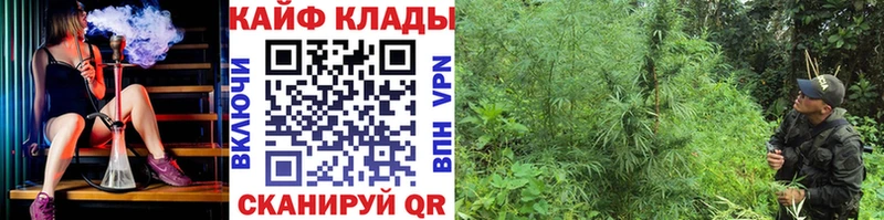 Где купить наркоту Новая Усмань Бошки Шишки blacksprut ссылки МЕФ Кокаин А ПВП