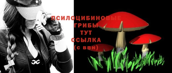 СК Кодинск
