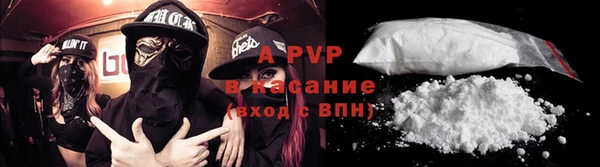 твердый Козельск