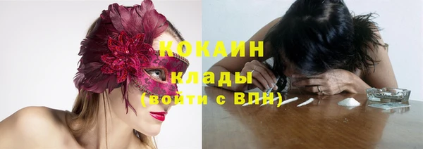 СК Кодинск