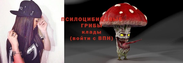ешки Нефтегорск