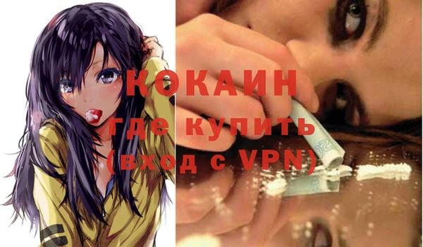 твердый Козельск