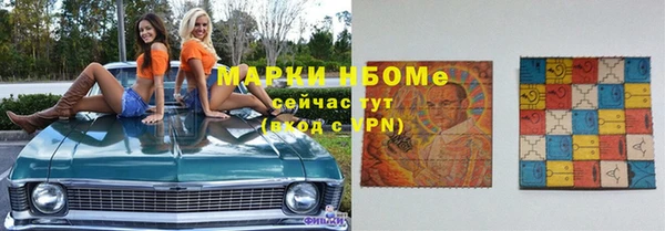 твердый Козельск