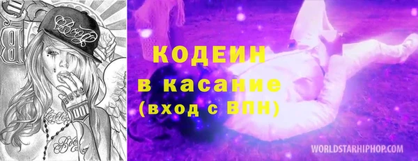 твердый Козельск