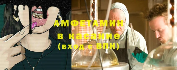 твердый Козельск