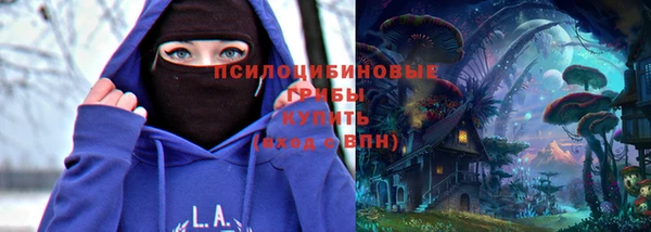 СК Кодинск