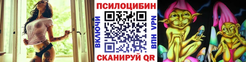 Галлюциногенные грибы Psilocybine cubensis Новая Усмань